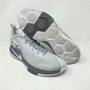 Nike Lebron Witness II Platinum/Grey 942518 002 Men's Size 11.5